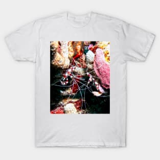 Banded Cleaner Shrimp on the Coral Reef T-Shirt